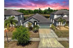 11872 THICKET WOOD DRIVE, RIVERVIEW, FL 33579 - MLS#MFRTB8363992