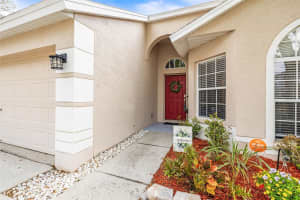 13438 WHITE ELK LOOP, TAMPA, FL 33626 Sold 05/06/25