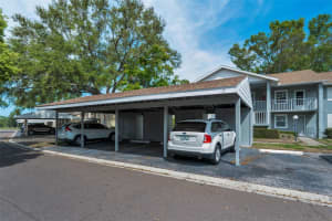 1438 MILLSTREAM LANE, DUNEDIN, FL 34698 - MLS#MFRTB8364071