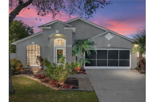 30830 BIRDHOUSE DRIVE, WESLEY CHAPEL, FL 33545 Sold 06/06/25