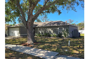 5337 WATSON ROAD, RIVERVIEW, FL 33578 Sold 05/02/25