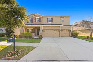 20119 OAKFLOWER AVENUE, TAMPA, FL 33647 Sold 06/06/25