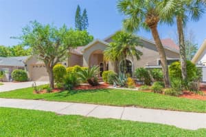 15814 HAMPTON VILLAGE DRIVE, TAMPA, FL 33618 Sold 06/04/25