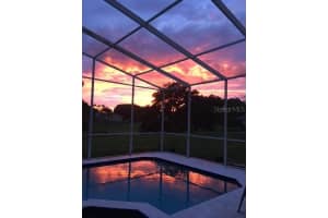 818 EDGEHILL DRIVE, PALM HARBOR, FL 34684 Sold 05/07/25