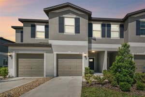 3629 Bellmeade Ct, WESLEY CHAPEL