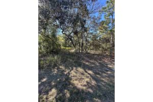 7 SWEETBAY COURT, HOMOSASSA, FL 34446 - MLS#MFRTB8364467