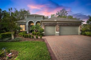 3633 CORDGRASS DRIVE, VALRICO, FL 33596 Sold 06/16/25
