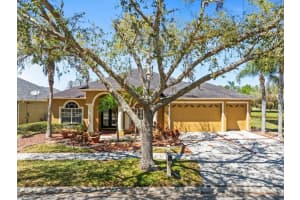 19230 WIND DANCER STREET, LUTZ, FL 33558 Sold 06/26/25
