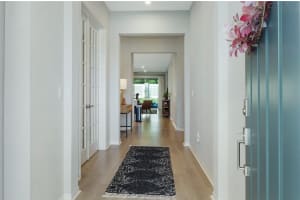 2516 LEAFWING COURT, PALM HARBOR, FL 34683 Sold 06/18/25