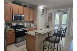 3005 BAYSHORE POINTE DRIVE, TAMPA, FL 33611 - MLS#MFRTB8364634
