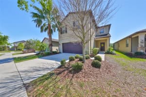 8306 RED SPRUCE AVENUE, RIVERVIEW, FL 33578 - MLS#MFRTB8364694