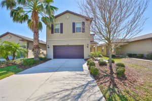 8306 RED SPRUCE AVENUE, RIVERVIEW, FL 33578 - MLS#MFRTB8364694