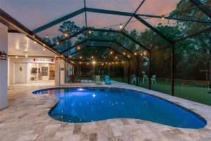 204 SILVER MOSS LANE, TARPON SPRINGS, FL 34688 Sold 05/28/25