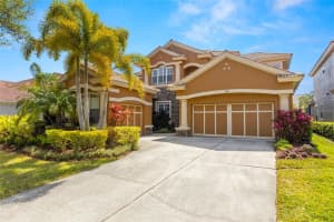 11610 BRISTOL CHASE DRIVE, TAMPA, FL 33626 Sold 06/05/25