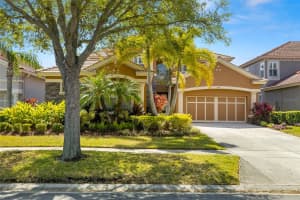 11610 BRISTOL CHASE DRIVE, TAMPA, FL 33626 Sold 06/05/25
