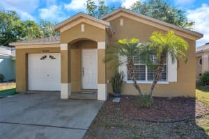 8528 Quarter Horse Dr, RIVERVIEW