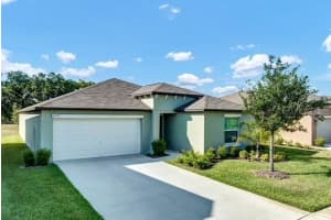 6727 BAR S BAR TRAIL, ZEPHYRHILLS, FL 33541 - MLS#MFRTB8364834