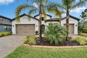 19611 CYPRESS BRIDGE DRIVE, ODESSA, FL 33556 - MLS#MFRTB8364946