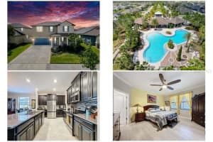 32101 Goddard Dr, WESLEY CHAPEL