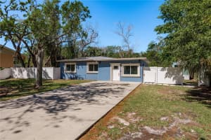 8423 Jackson Springs Rd, TAMPA