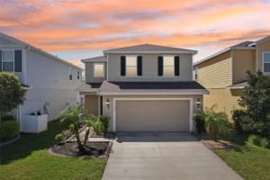 11301 Hudson Hills Ln, RIVERVIEW