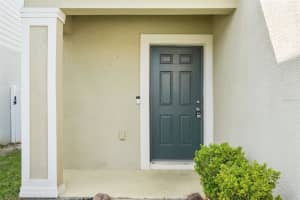11301 HUDSON HILLS LANE, RIVERVIEW, FL 33579 - MLS#MFRTB8365048