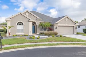 9807 BALSARIDGE COURT, TRINITY, FL 34655 Sold 05/30/25
