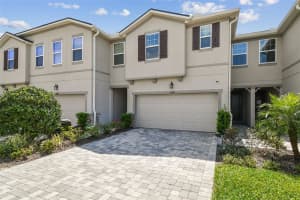 19398 GREAT INTENTION WAY, LUTZ, FL 33558 - MLS#MFRTB8365090