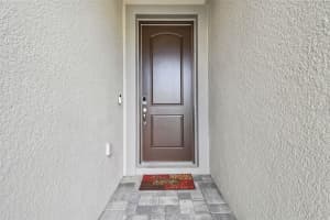 19398 GREAT INTENTION WAY, LUTZ, FL 33558 - MLS#MFRTB8365090