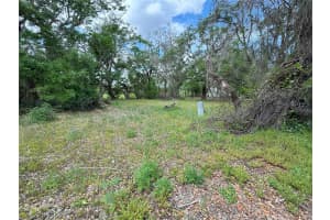 3221 DUBLIN ROAD, DADE CITY, FL 33523 - MLS#MFRTB8365101