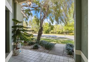 12 RIDGECROFT LANE, SAFETY HARBOR, FL 34695 Sold 05/15/25