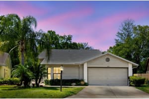 11521 Rose Tree Dr, NEW PORT RICHEY