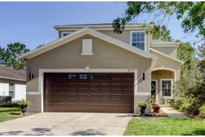 4250 Warwick Hills Dr, WESLEY CHAPEL
