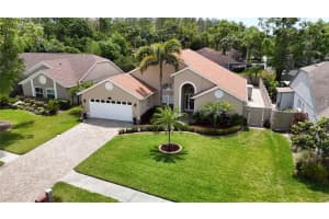 6716 FRONTIER LANE, TAMPA, FL 33625 Sold 06/20/25