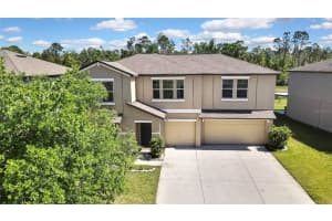 35965 Saddle Palm Way, ZEPHYRHILLS