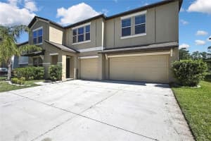 35965 SADDLE PALM WAY, ZEPHYRHILLS, FL 33541 - MLS#MFRTB8365283