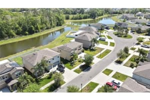 35965 SADDLE PALM WAY, ZEPHYRHILLS, FL 33541 - MLS#MFRTB8365283
