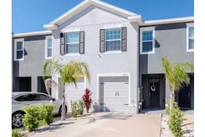 34355 SORREL MINT DRIVE, WESLEY CHAPEL, FL 33543 Sold 06/23/25