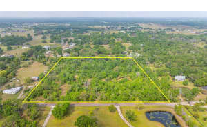 19084 RED BIRD LANE, LITHIA, FL 33547 Sold 04/16/25