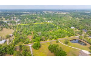 19084 RED BIRD LANE, LITHIA, FL 33547 Sold 04/16/25
