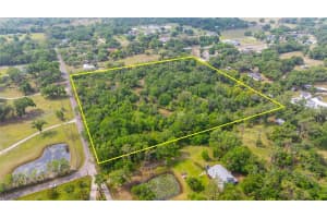 19084 RED BIRD LANE, LITHIA, FL 33547 Sold 04/16/25