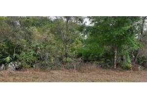 SILVER PALM DR, INDIAN LAKE ESTATES, FL 33855 - MLS#MFRTB8365432