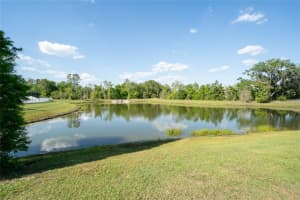 36077 STABLE WILK AVENUE, ZEPHYRHILLS, FL 33541 Sold 05/21/25