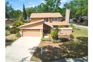 3103 Taragrove Dr, TAMPA