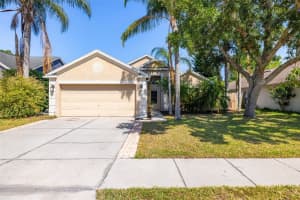 29013 OLD MARSH END, WESLEY CHAPEL, FL 33543 Sold 08/07/25