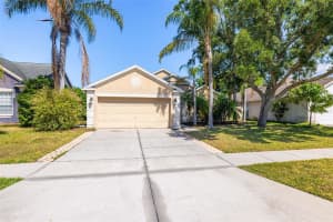 29013 OLD MARSH END, WESLEY CHAPEL, FL 33543 Sold 08/07/25