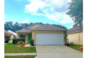 30225 DOUBLE DRIVE, WESLEY CHAPEL, FL 33545 Sold 05/29/25