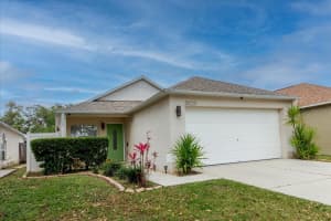30225 DOUBLE DRIVE, WESLEY CHAPEL, FL 33545 Sold 05/29/25