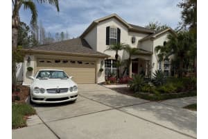 , TAMPA