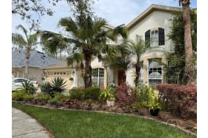 MLS# MFRTB8365764, Tampa, Florida 33647